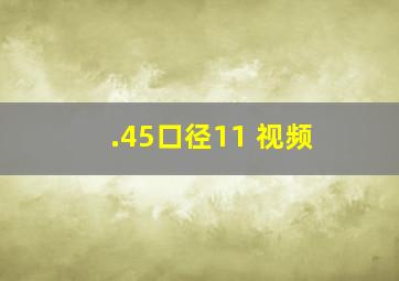 .45口径11 视频